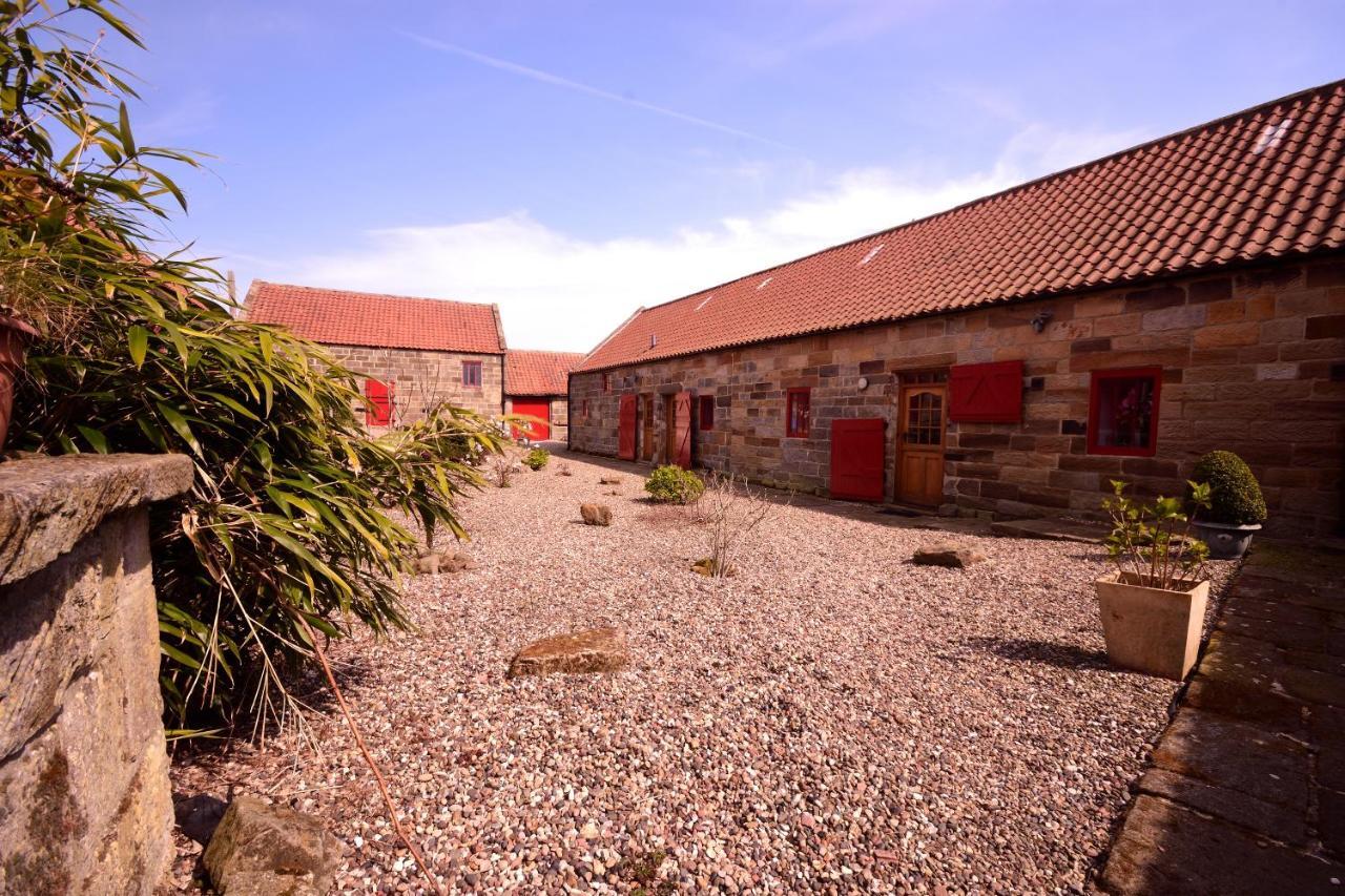 Sebright Cottage, Borrowby Farm Cottages Staithes Dış mekan fotoğraf