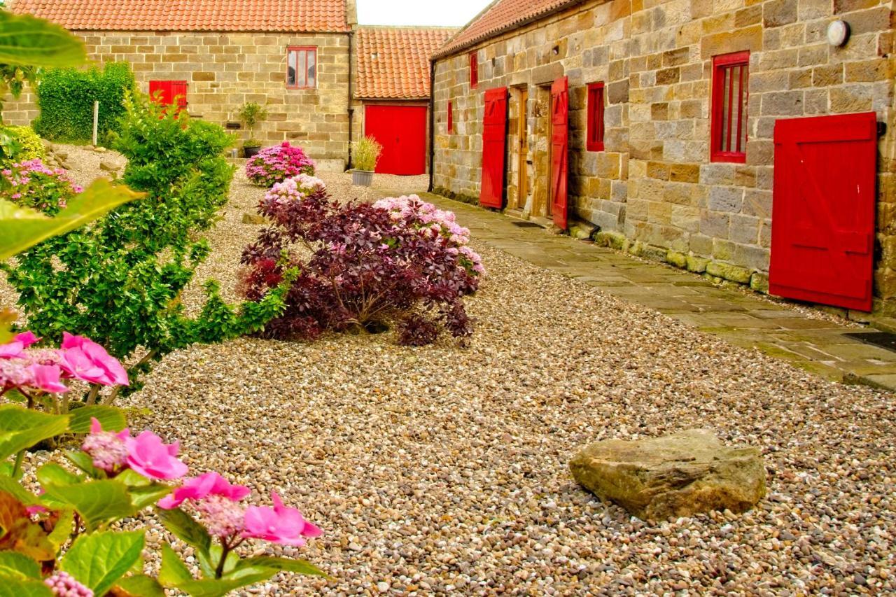 Sebright Cottage, Borrowby Farm Cottages Staithes Dış mekan fotoğraf
