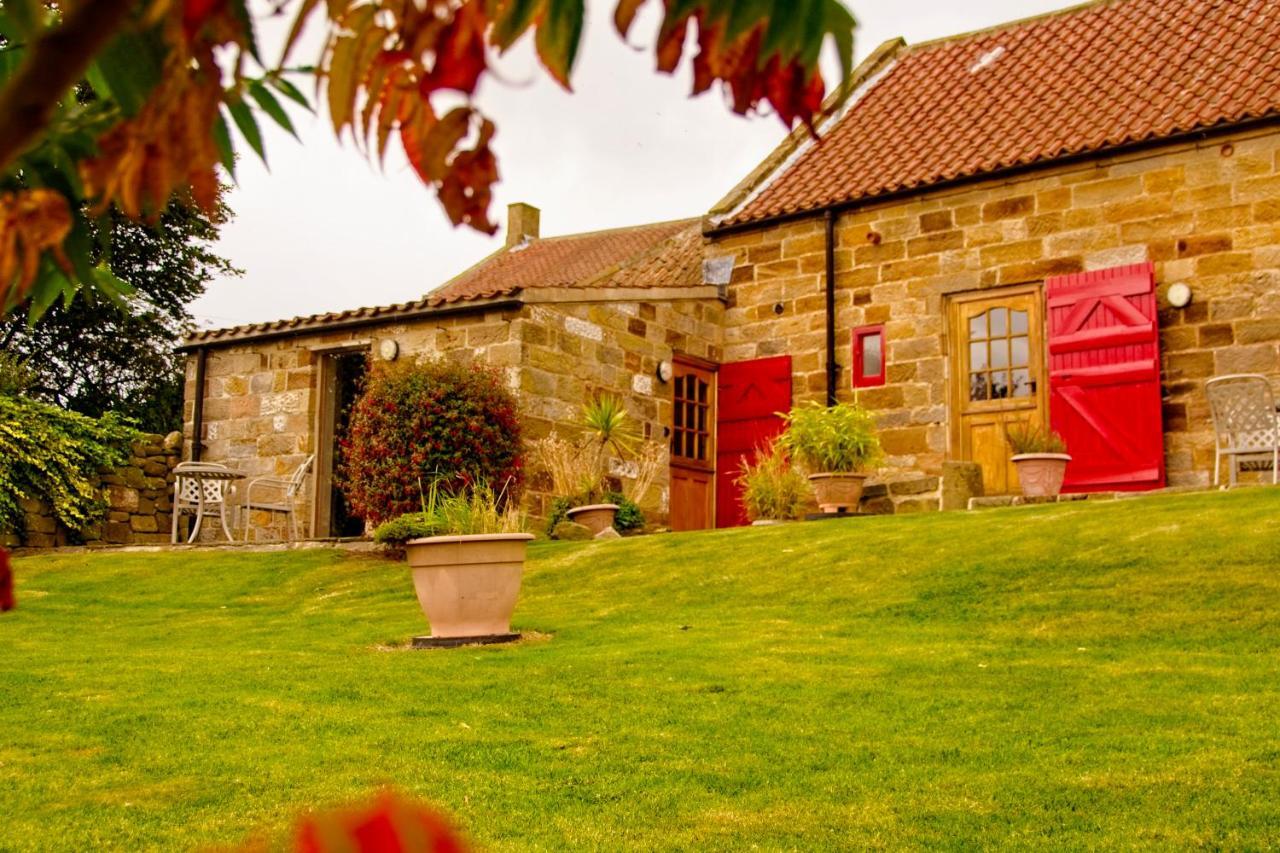 Sebright Cottage, Borrowby Farm Cottages Staithes Dış mekan fotoğraf